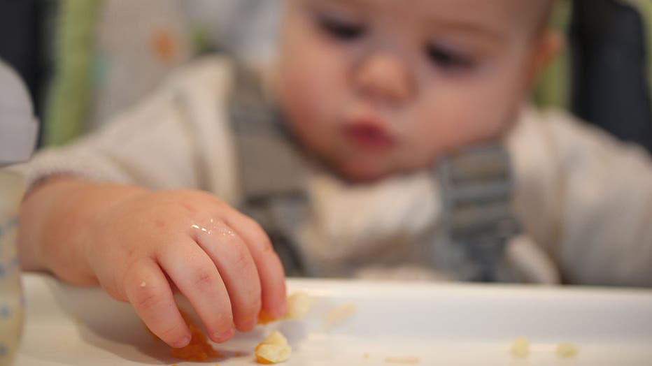 Government report finds ‘alarming levels’ of heavy metals in more baby foods - FOX 5 DC