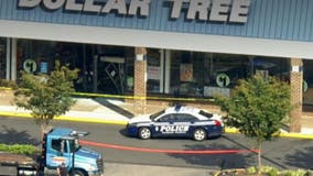 Vehicle smashes into Annandale Dollar Store storefront