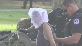 Woman allegedly attacked Capitol police officer with baseball bat: report