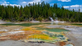 Woman burned chasing dog into scalding hot spring at Yellowstone National Park