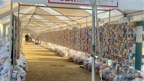 Thousands of ‘soul boxes’ on National Mall memorialize lives lost to gun violence