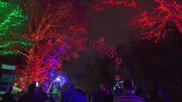 Boo at the Zoo, ZooLights canceled for second year due to COVID-19 concerns