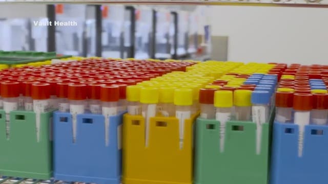 Experts say if you want to get a rapid COVID test ahead of holidays, plan now