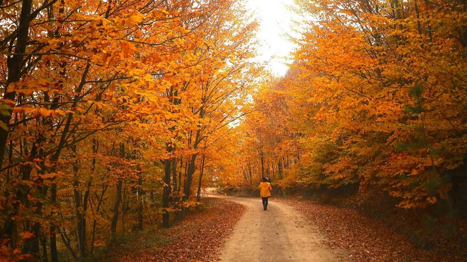 Autumn views from Kurugol Nature Park