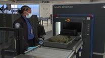 Reagan National makes TSA’s list of most unusual finds at airport security checkpoints