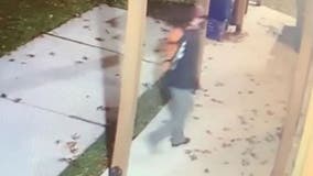 Video shows suspects in Silver Spring synagogue break-ins: cops