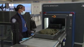 Reagan National makes TSA’s list of most unusual finds at airport security checkpoints