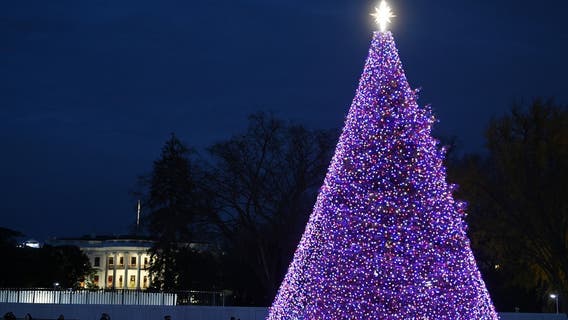 LL Cool J hosting 99th National Christmas Tree Lighting in DC
