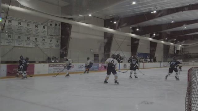 Youth hockey official shortage could partly be blamed on parents