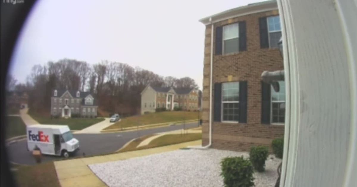 Prince George's County man captures driver mishandling delivery on Ring ...