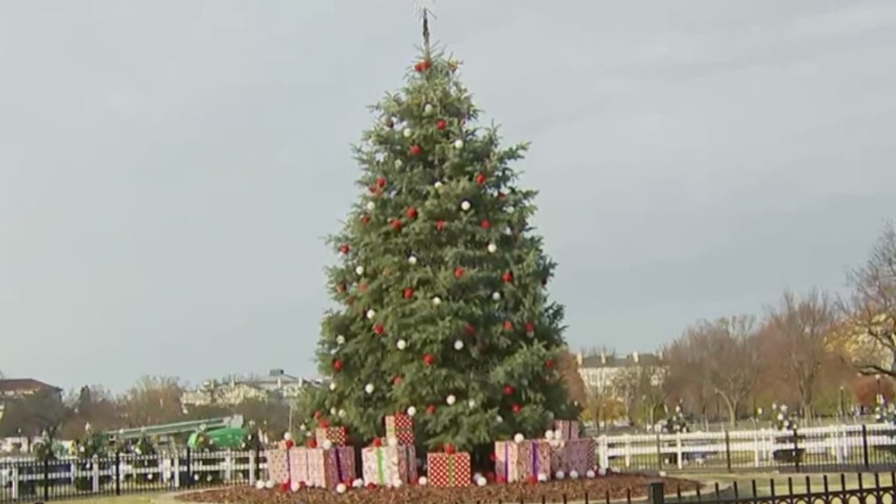 2021 National Christmas Tree Lighting ceremony set for Thursday; street closures in place - Vimarsana News