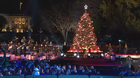 Rockefeller Christmas Tree 2021 Illuminated