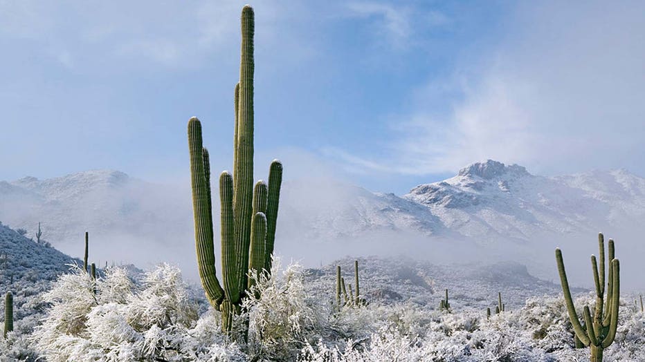 Snowfall-Arizona.jpg