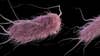 Virginia health officials investigate E. coli outbreak in Lake Anna