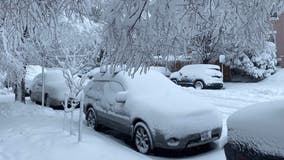 DC, Maryland and Virginia residents react to major snowfall across the region