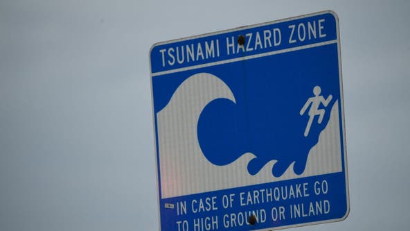 Pacific tsunami warning recedes; Tonga covered by ash cloud