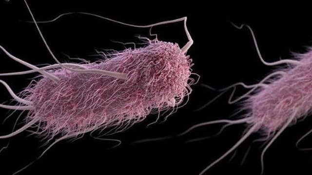 Virginia health officials investigate E. coli outbreak in Lake Anna