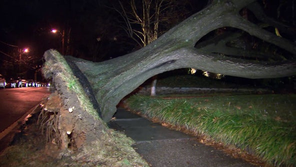 Strong winds Friday across DC region; temperatures drop with highs in the 40s