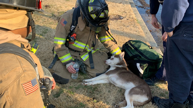 Firefighters rescue dog from house fire in Fairfax County