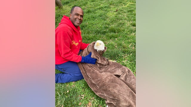 Injured eagle rescued by Prince George's County couple