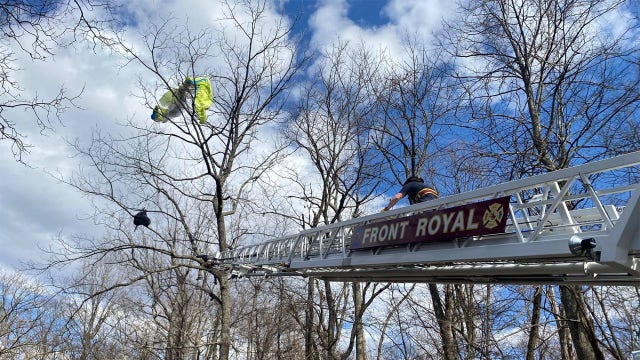 Paraglider rescued after crash landing in trees at Shenandoah National Park