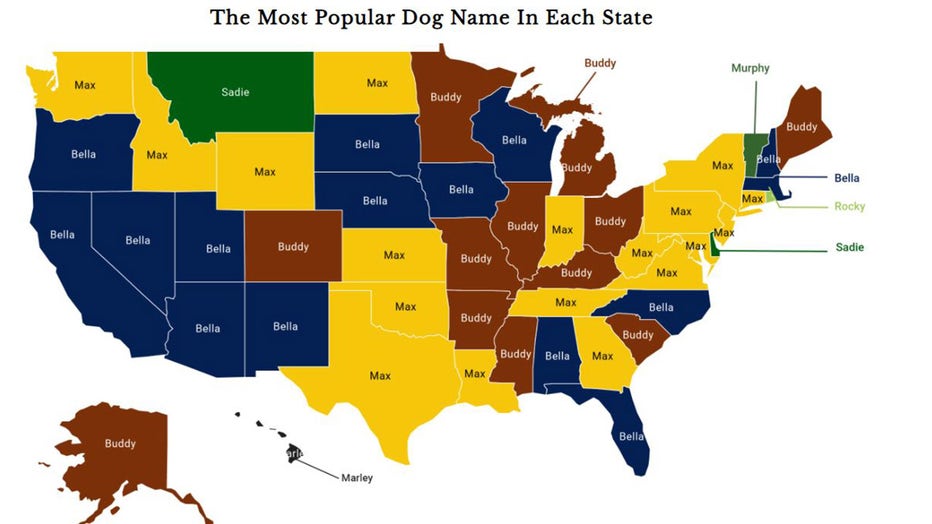 Top Puppy Names