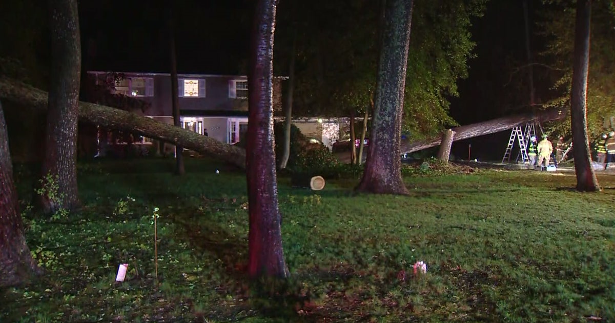 Man dead after tree crashes onto house in Annapolis | FOX 5 DC