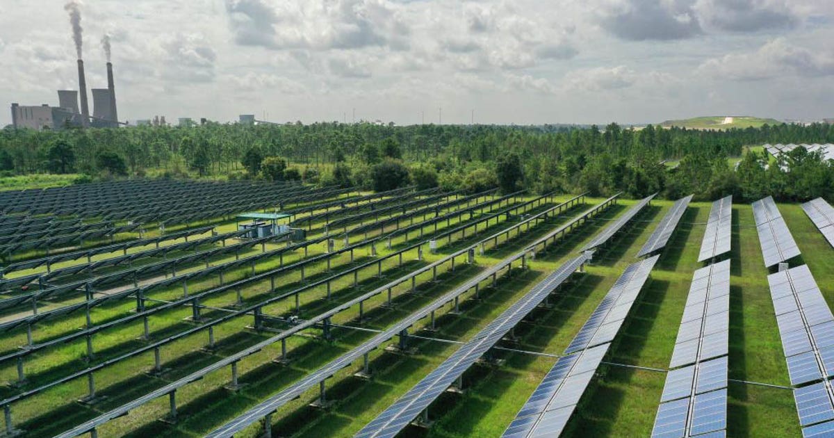 Majority of Americans favor US taking steps to be carbon neutral by ...