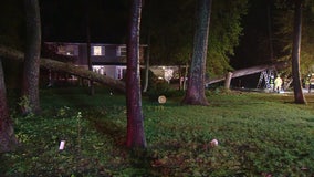 Man dead after tree crashes onto house in Annapolis