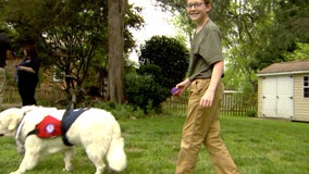 Paws of War: Therapy dog helps boy with autism in northern Virginia