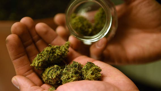 Bill to stop employers from firing legal marijuana users approved by DC Council