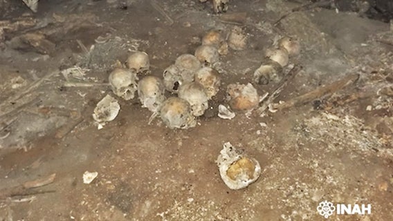 Scores of skulls believed to be part of recent crime scene are actually thousands of years old