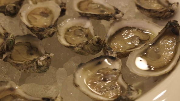 Eat up! Maryland's oyster population has grown significantly, study shows