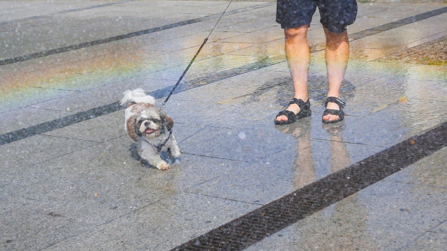 Drought watch continues for nearly 6 million in DC region