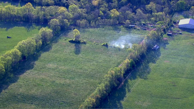 Local winery uses fire to save crops from cold temperatures