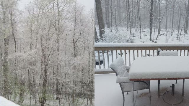 PHOTOS: Easter Monday snow blankets parts of Maryland, Virginia