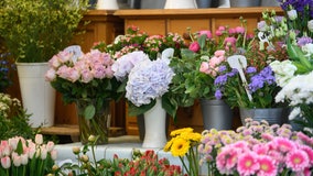 Local flower shops navigating supply chain issues for Mother's Day