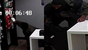 Burglary suspect caught on camera stealing items from electronics store in Silver Spring