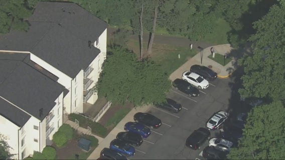 Suspected homicide in Fairfax County after body found in wooded area: police