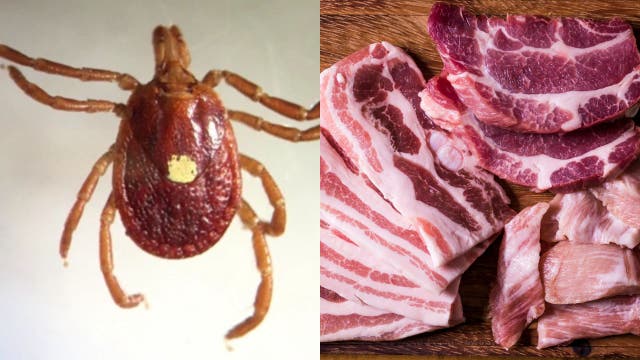 Look out for tick known to cause red meat allergy in the DMV, health experts warn