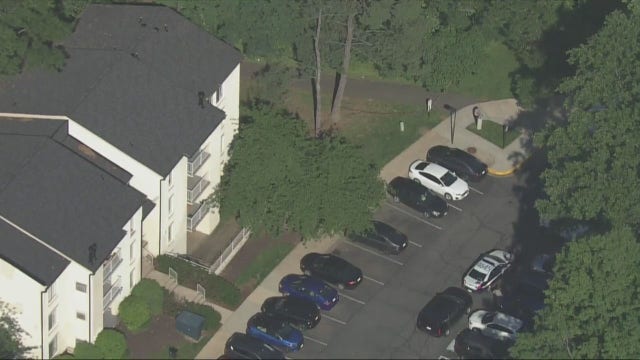 Suspected homicide in Fairfax County after body found in wooded area: police