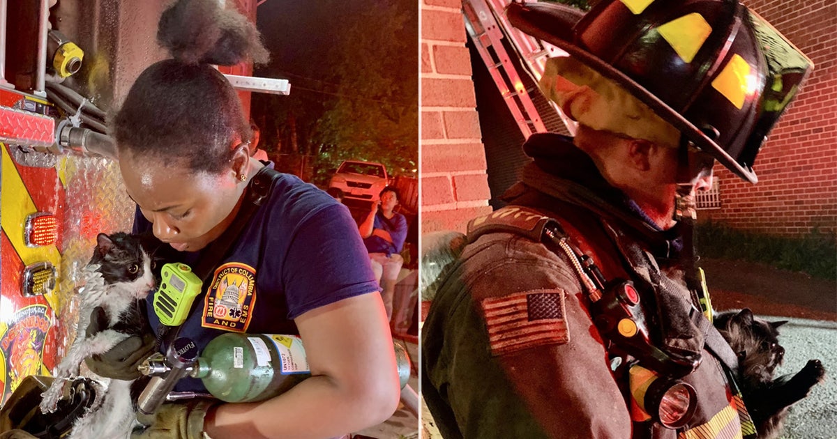 Dozens displaced, dog killed in fire at DC apartment building | FOX 5 DC