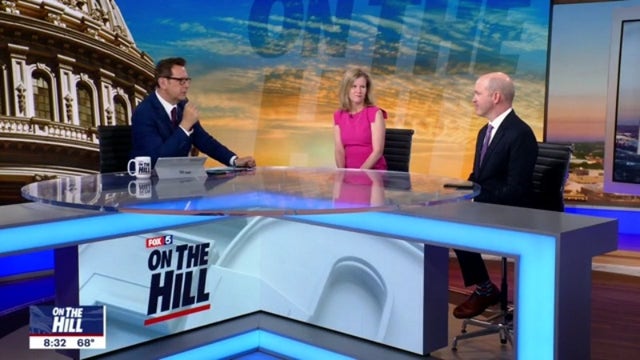 ON THE HILL: Political panel discusses efforts from US lawmakers to curb gun violence