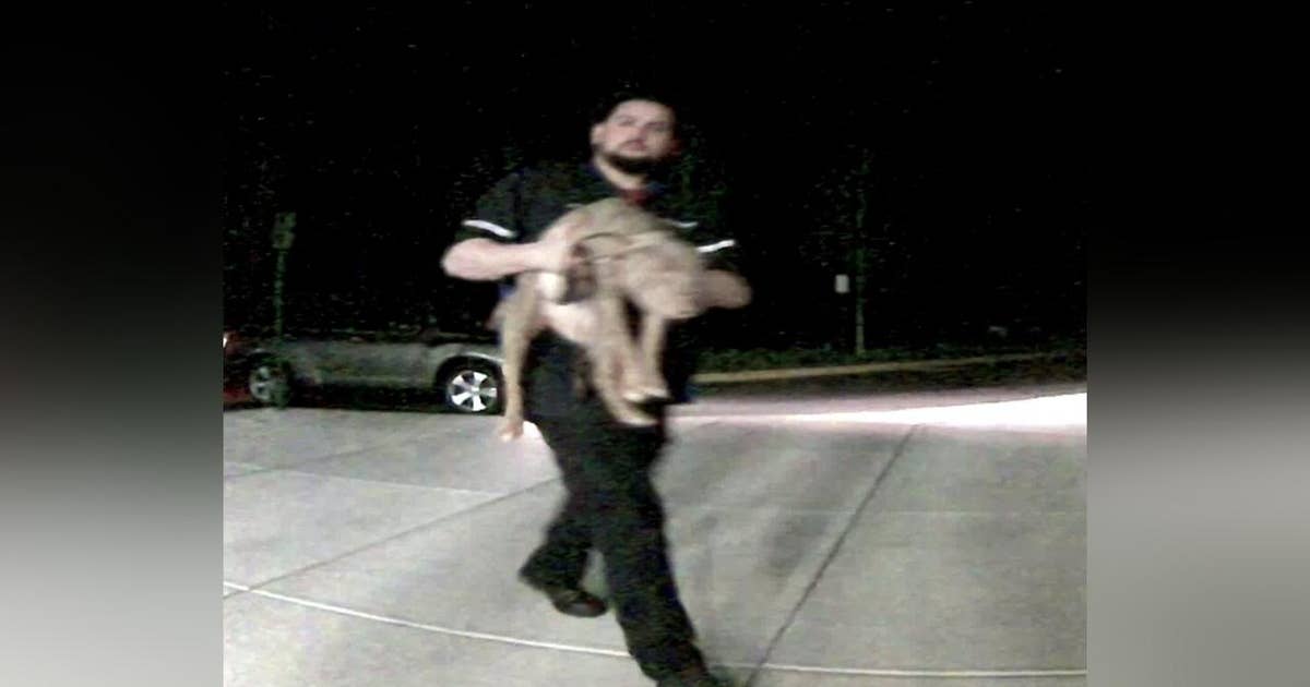 Police searching for man accused of animal cruelty in Manassas | FOX 5 DC
