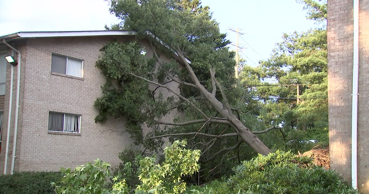 Cleanup continues after intense storms batter parts of DC region | FOX 5 DC