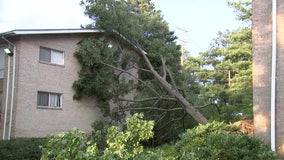 Cleanup continues after intense storms batter parts of DC region