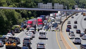 14 arrested after climate activists shut down all lanes of traffic on I-495 in Montgomery County