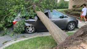 Greenbelt residents picking up the pieces from storm damage