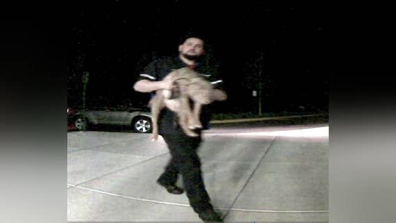 Police searching for man accused of animal cruelty in Manassas