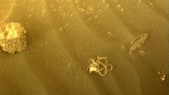 NASA Mars rover discovers weird string-like object that goes viral